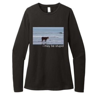 I May Be Stupid Funny Womens CVC Long Sleeve Shirt