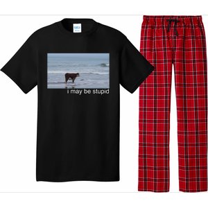 I May Be Stupid Funny Pajama Set