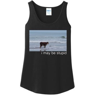 I May Be Stupid Funny Ladies Essential Tank