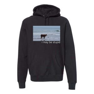 I May Be Stupid Funny Premium Hoodie