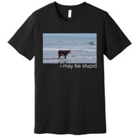 I May Be Stupid Funny Premium T-Shirt