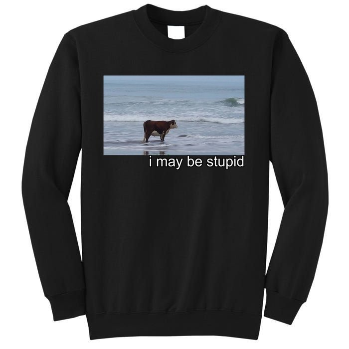 I May Be Stupid Funny Tall Sweatshirt