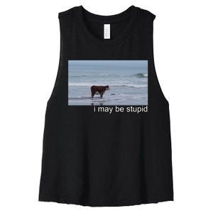 I May Be Stupid Funny Women's Racerback Cropped Tank