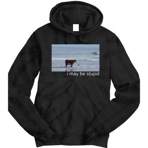 I May Be Stupid Funny Tie Dye Hoodie