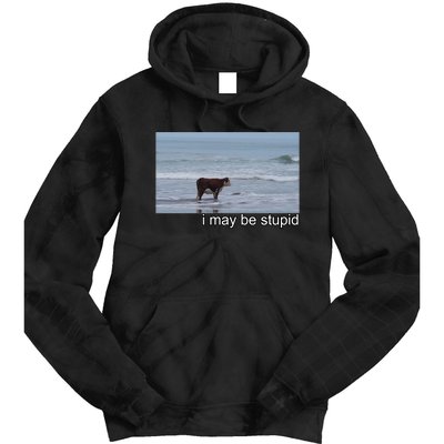 I May Be Stupid Funny Tie Dye Hoodie