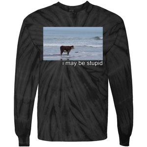 I May Be Stupid Funny Tie-Dye Long Sleeve Shirt