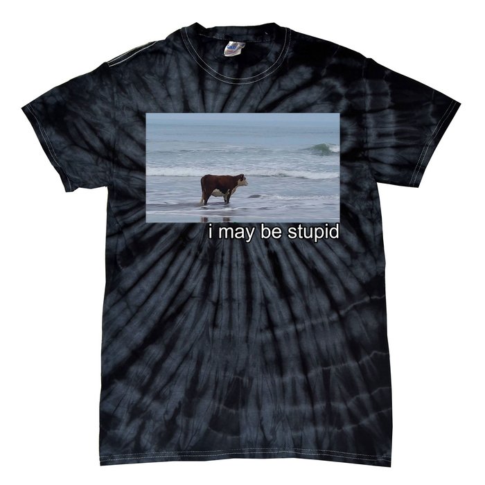 I May Be Stupid Funny Tie-Dye T-Shirt