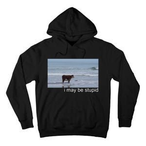 I May Be Stupid Funny Tall Hoodie