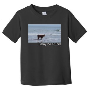 I May Be Stupid Funny Toddler T-Shirt