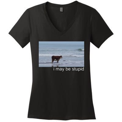 I May Be Stupid Funny Women's V-Neck T-Shirt