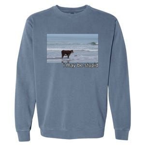 I May Be Stupid Funny Garment-Dyed Sweatshirt