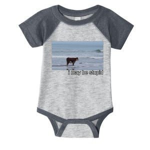 I May Be Stupid Funny Infant Baby Jersey Bodysuit