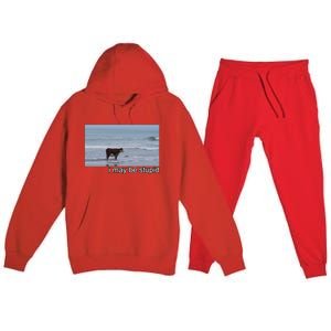 I May Be Stupid Funny Premium Hooded Sweatsuit Set