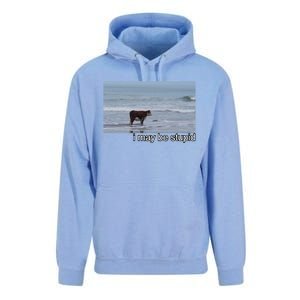 I May Be Stupid Funny Unisex Surf Hoodie