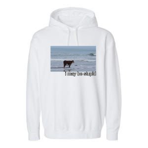 I May Be Stupid Funny Garment-Dyed Fleece Hoodie