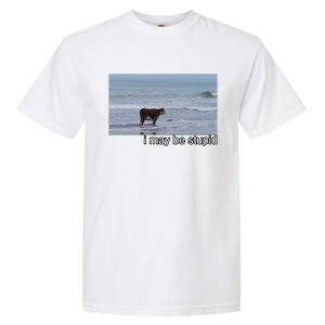 I May Be Stupid Funny Garment-Dyed Heavyweight T-Shirt