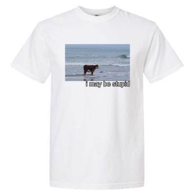 I May Be Stupid Funny Garment-Dyed Heavyweight T-Shirt