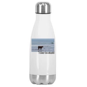 I May Be Stupid Funny Stainless Steel Insulated Water Bottle