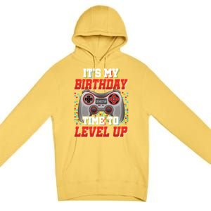 ItS My Birthday Time To Level Up Video Game Birthday Gift Premium Pullover Hoodie