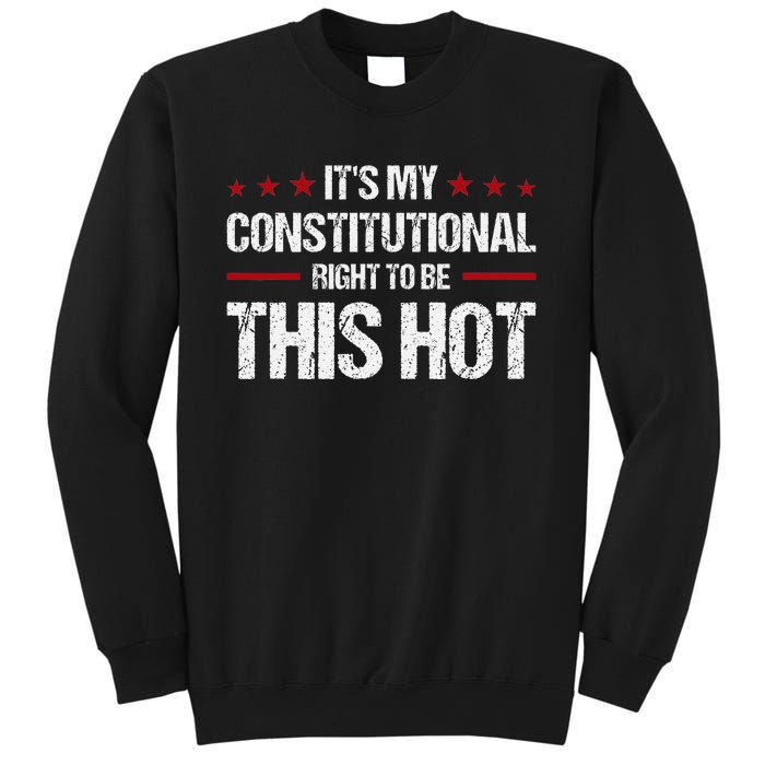 ItS My Constitutional Right To Be This Hot Sweatshirt