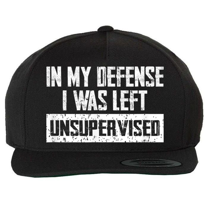 In My Defense I Was Left Unsupervised Cool Funny Wool Snapback Cap