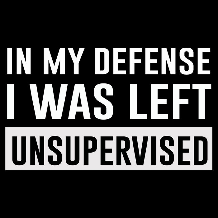 In My Defense I Was Left Unsupervised Poster