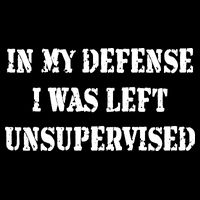 In My Defense I Was Left Unsupervised Hoodie