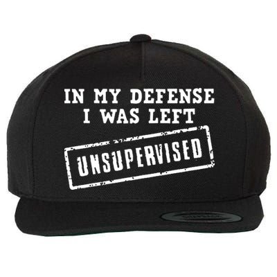 In My Defense I Was Left Unsupervised Funny Wool Snapback Cap