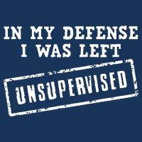 In My Defense I Was Left Unsupervised Funny Button