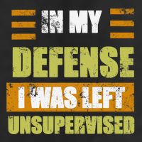 In My Defense I Was Left Unsupervised Funny Saying Premium Pullover Hoodie
