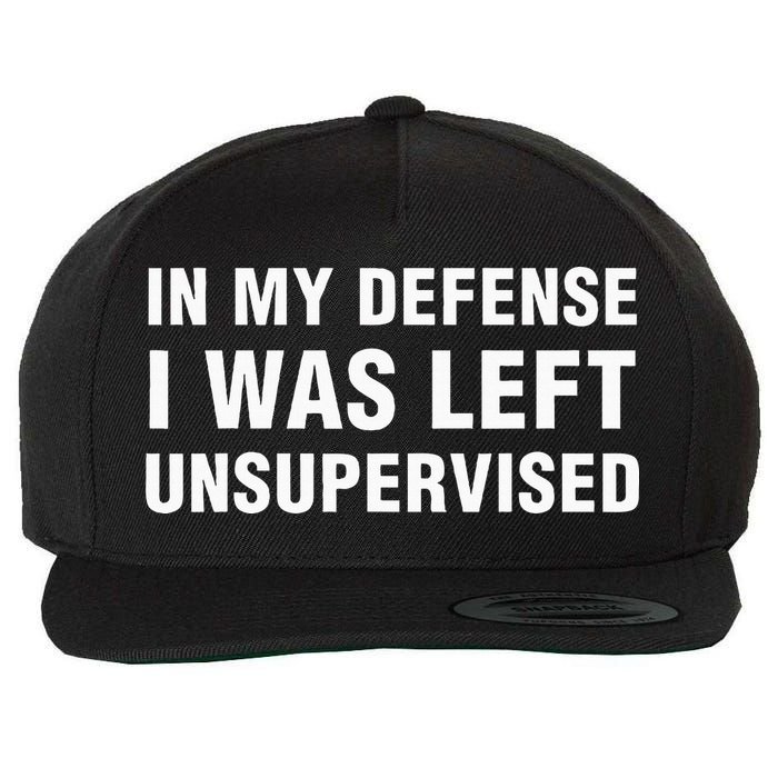 In My Defense I Was Left Unsupervised Gifts Wool Snapback Cap