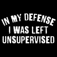 In My Defense I Was Left Unsupervised Youth Performance Sprint T-Shirt