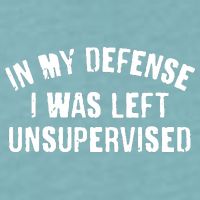 In My Defense I Was Left Unsupervised Sueded Cloud Jersey T-Shirt