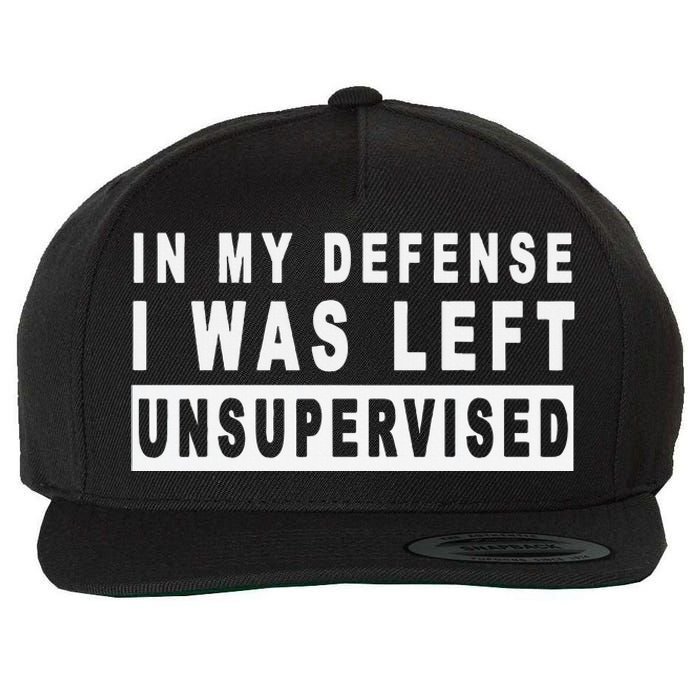 In My Defense I Was Left Unsupervised Wool Snapback Cap