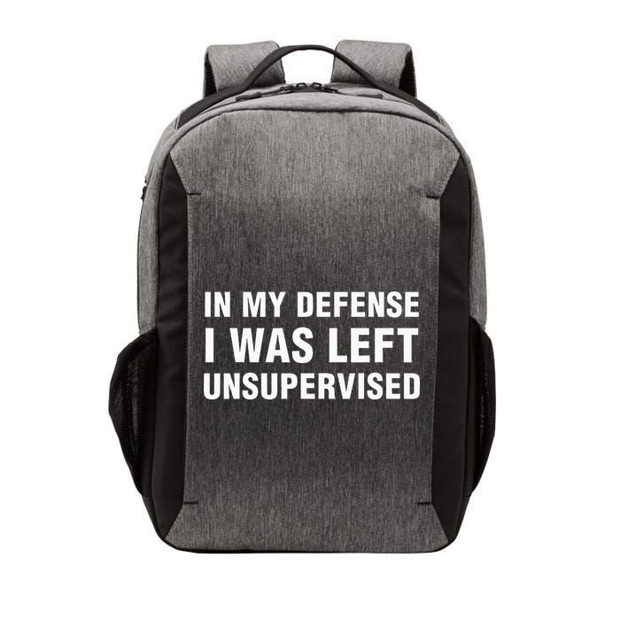 In My Defense I Was Left Unsupervised Vector Backpack