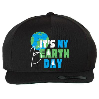 ItS My Earth Day Birthday April 22nd Environmental Advocate Wool Snapback Cap