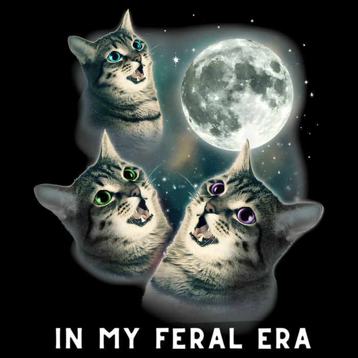 In My Feral Era Cat Hoodie