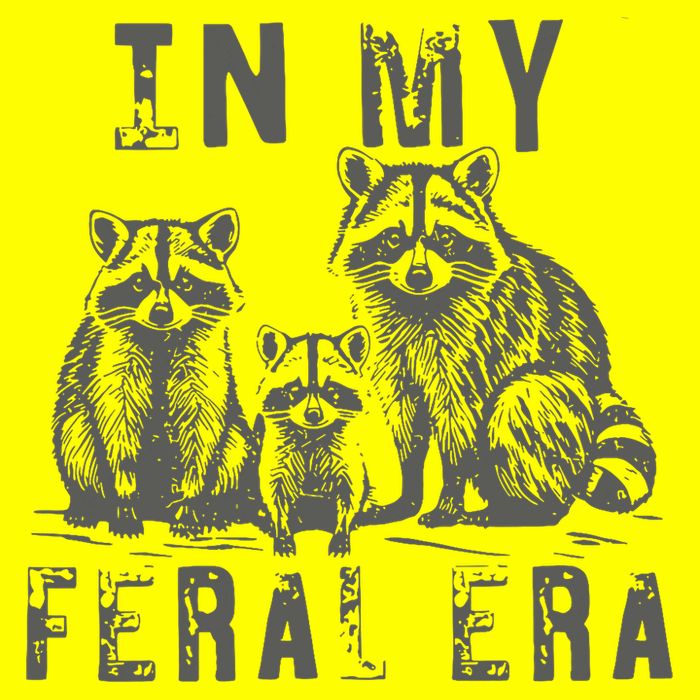 In My Feral Era Racoons Meme Kids T-Shirt