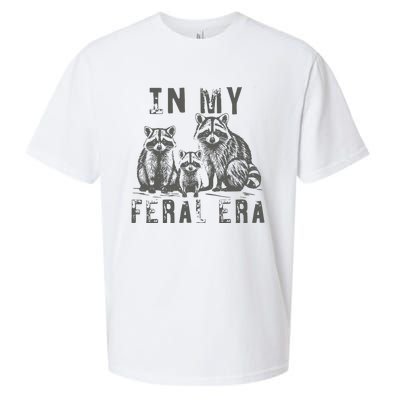 In My Feral Era Racoons Meme Funny Racoons Sueded Cloud Jersey T-Shirt