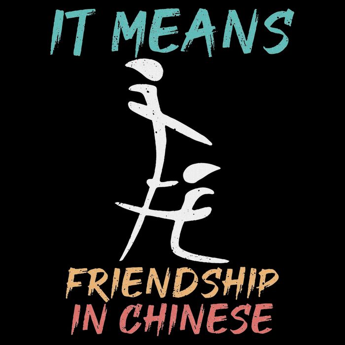 It Means Friendship In Chinese Funny Sarcasm Sweatshirt