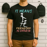 It Means Friendship In Chinese Funny Sarcasm T-Shirt