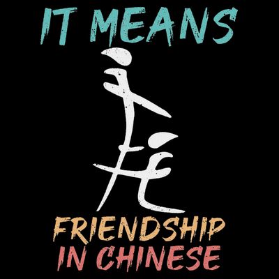 It Means Friendship In Chinese Funny Sarcasm T-Shirt