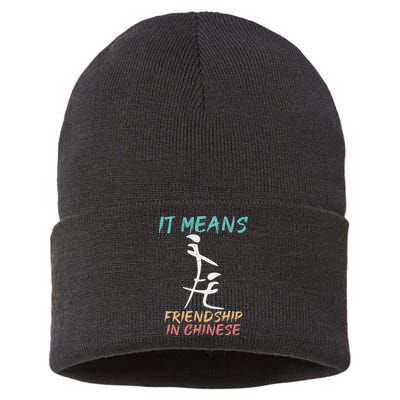 It Means Friendship In Chinese Funny Sarcasm Sustainable Knit Beanie
