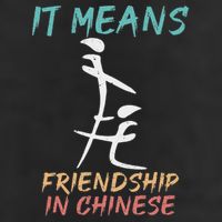 It Means Friendship In Chinese Funny Sarcasm Hat