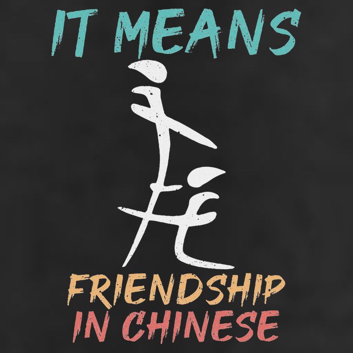 It Means Friendship In Chinese Funny Sarcasm Hat
