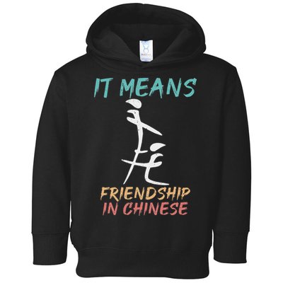 It Means Friendship In Chinese Funny Sarcasm Toddler Hoodie