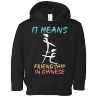 It Means Friendship In Chinese Funny Sarcasm Toddler Hoodie