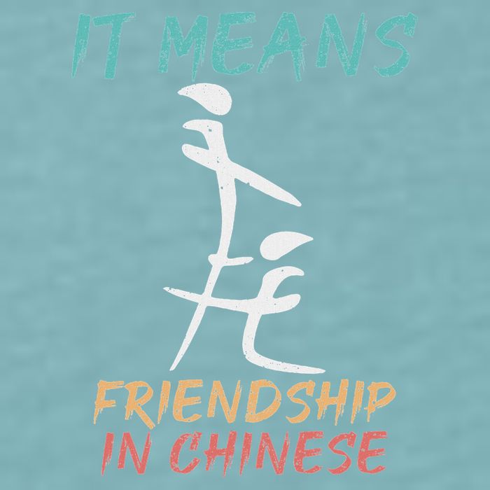 It Means Friendship In Chinese Funny Sarcasm Sueded Cloud Jersey T-Shirt