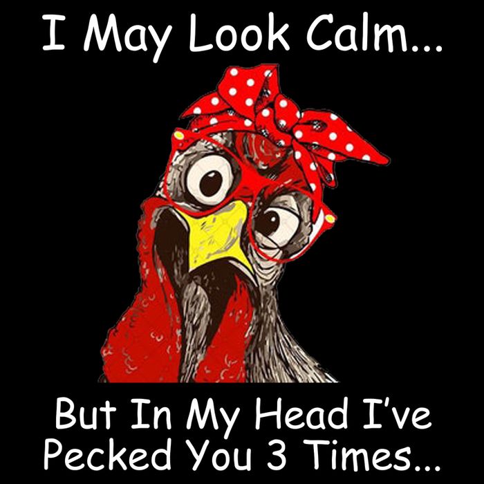 I May Look Calm But In My Head I've Pecked You 3 Times T-Shirt