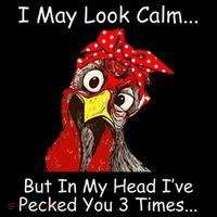 I May Look Calm But In My Head I've Pecked You 3 Times Wool Snapback Cap